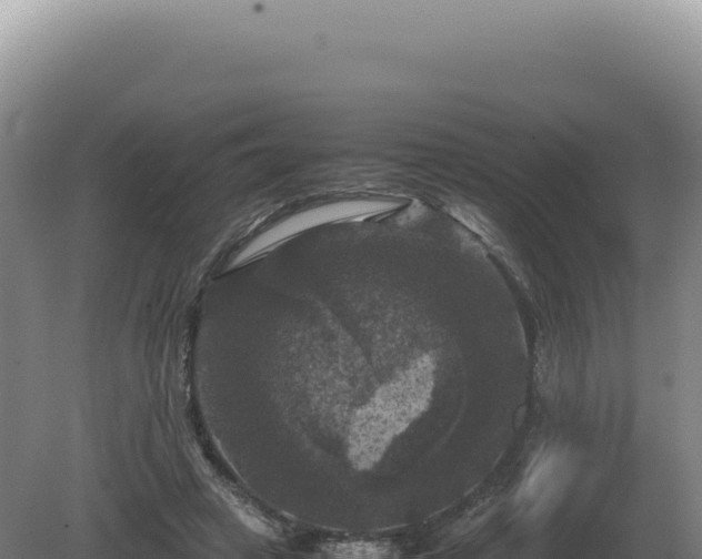 X0000081470449200701191810