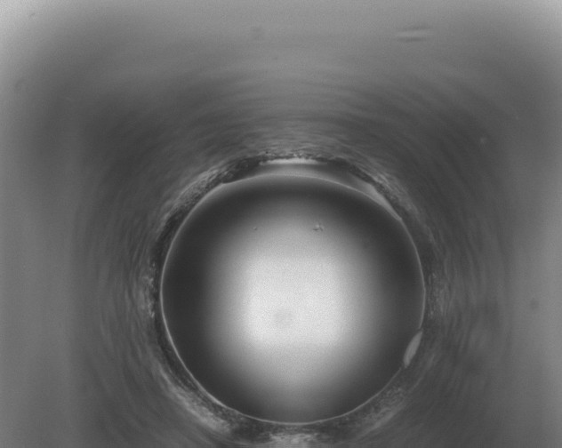 X0000081470450200701191810