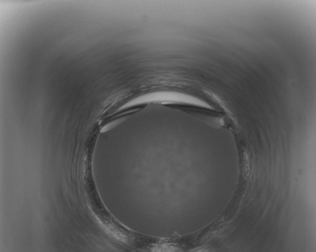 X0000081470451200701191810