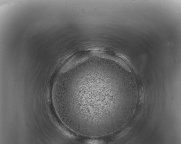 X0000081470453200701191810