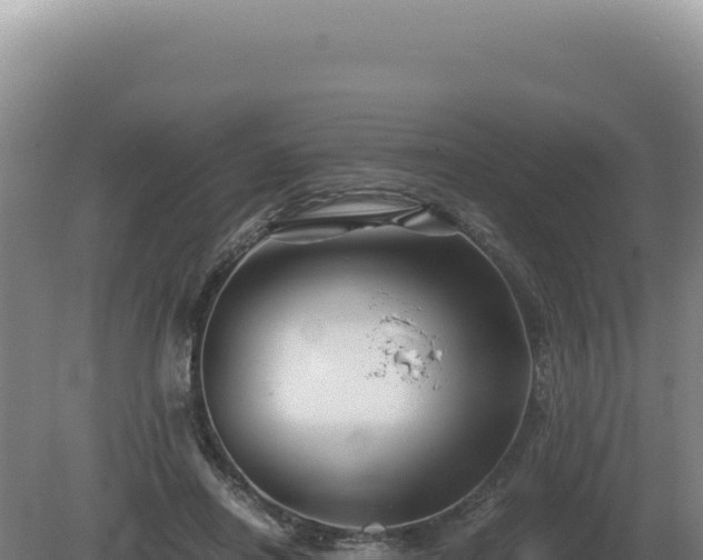 X0000081470454200701191810