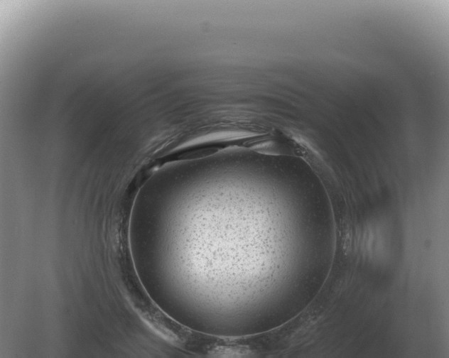 X0000081470455200701191810