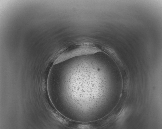 X0000081470457200701191810