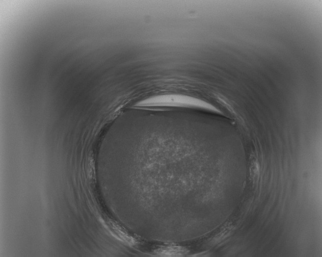 X0000081470459200701191810