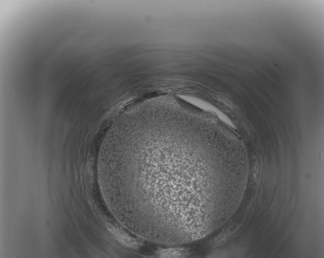 X0000081470461200701191810