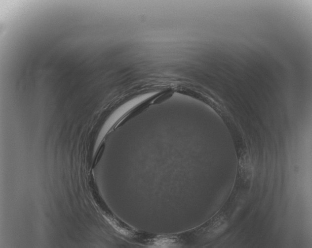 X0000081470462200701191810