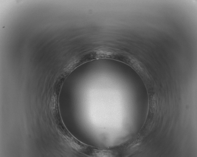 X0000081470463200701191810