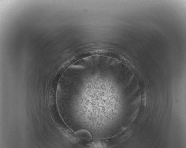 X0000081470464200701191810