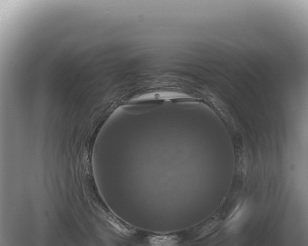 X0000081470465200701191810