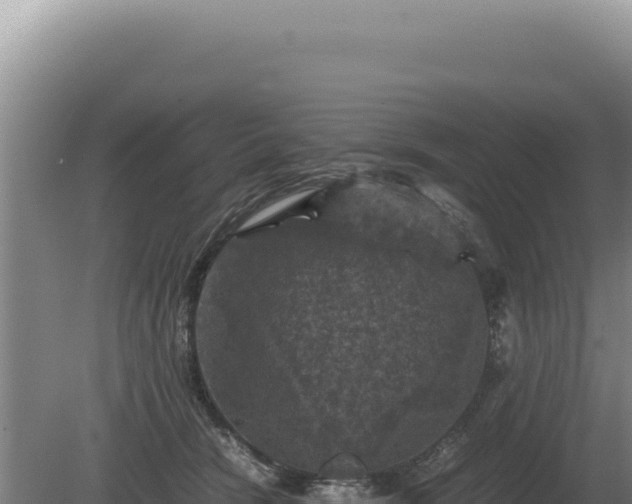 X0000081470466200701191810