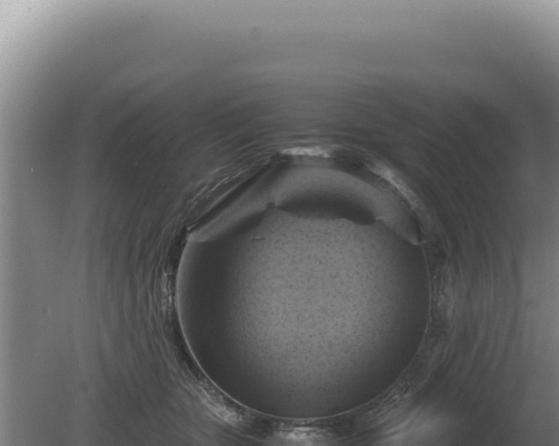 X0000081470467200701191810