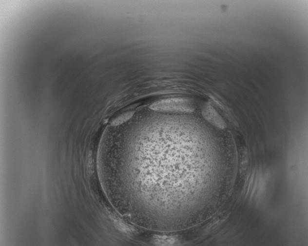 X0000081470469200701191810