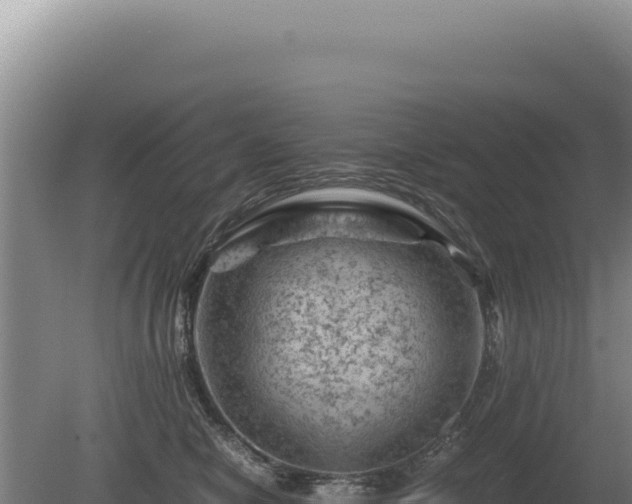 X0000081470470200701191810