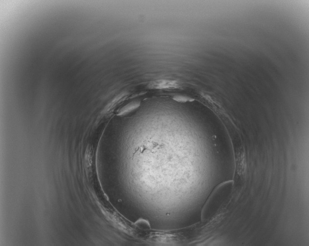 X0000081470472200701191810