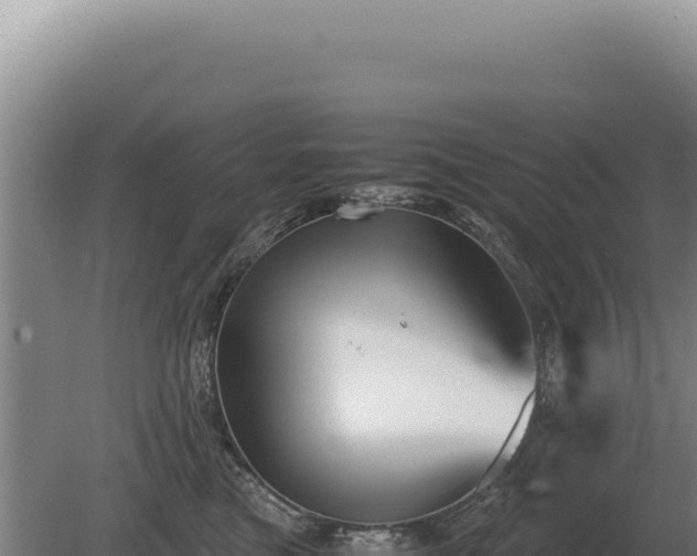 X0000081470473200701191810