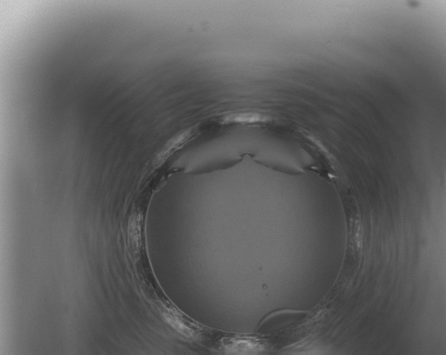 X0000081470475200701191810