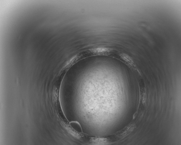 X0000081470476200701191810