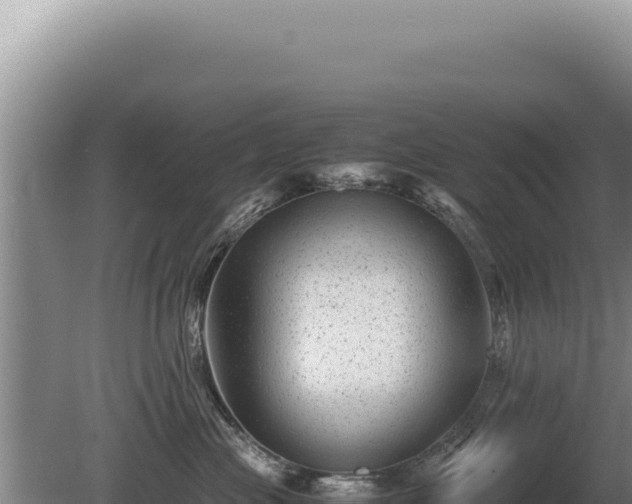 X0000081470477200701191810