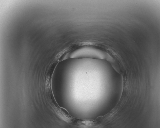 X0000081470478200701191810