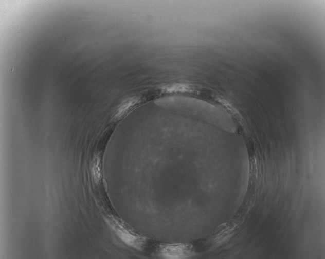 X0000081470479200701191810