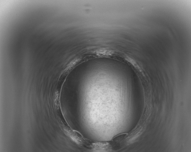 X0000081470480200701191810