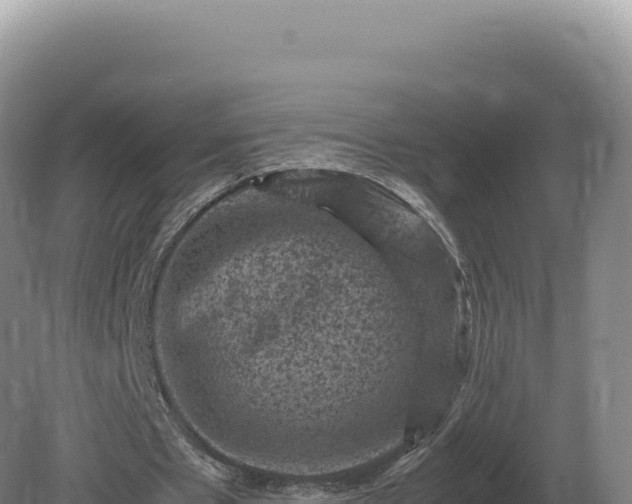 X0000081470481200701191810