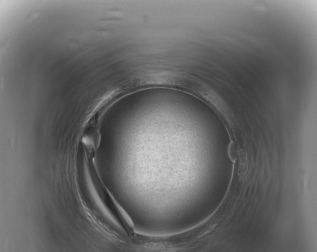 X0000081470482200701191810