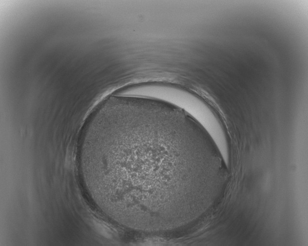 X0000081470483200701191810