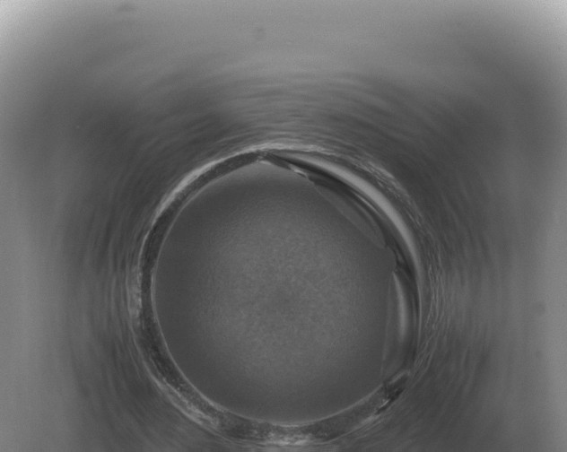 X0000081470484200701191810