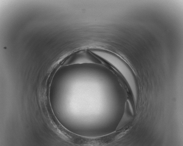 X0000081470485200701191810