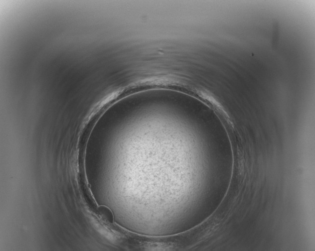 X0000081470486200701191810