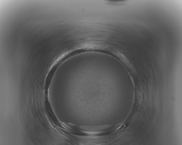 X0000081470488200701191809