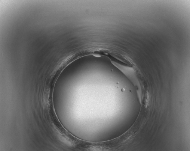 X0000081470490200701191809