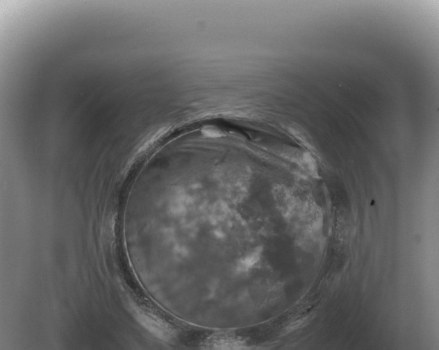 X0000081470491200701191809