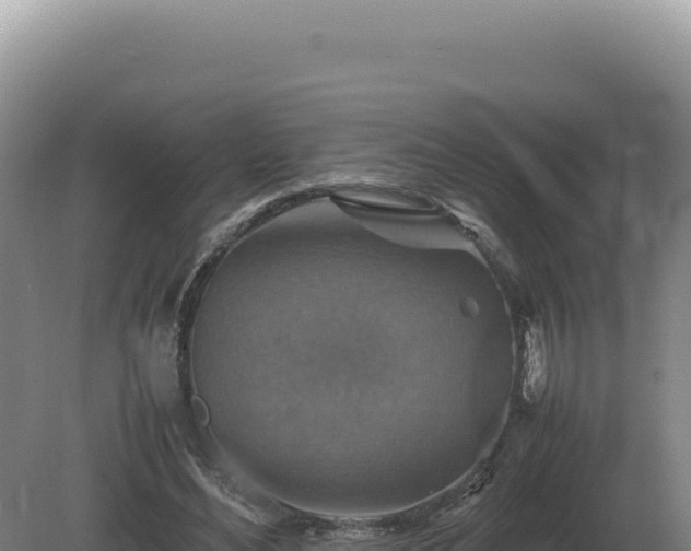 X0000081470492200701191809