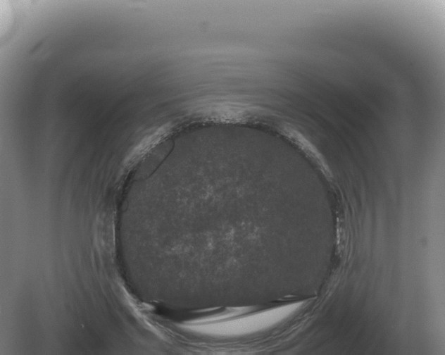 X0000081470493200701191809