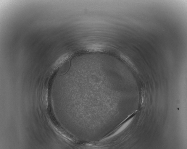 X0000081470494200701191809