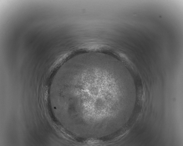 X0000081470495200701191809