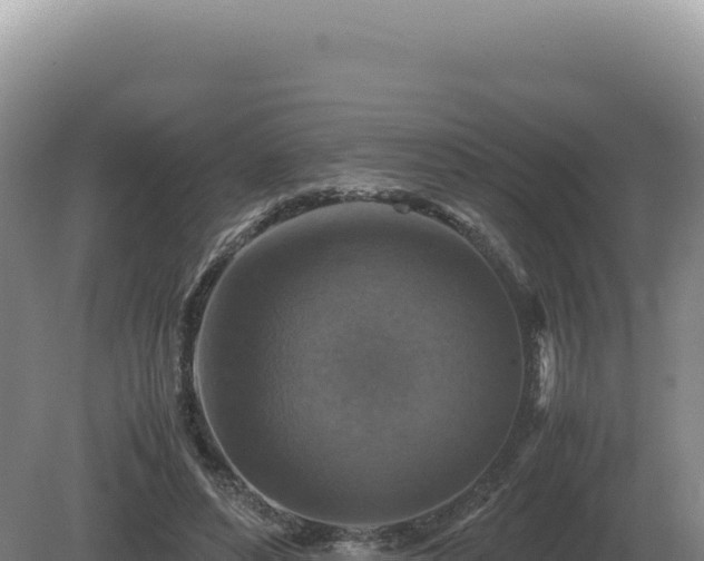 X0000081470496200701191809