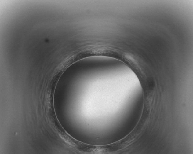 X0000081470497200701191809