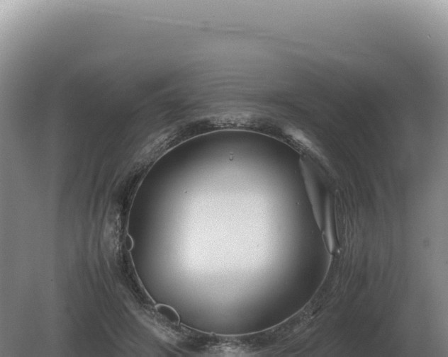 X0000081470498200701191809