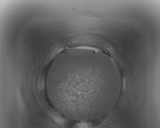 X0000081470499200701191809