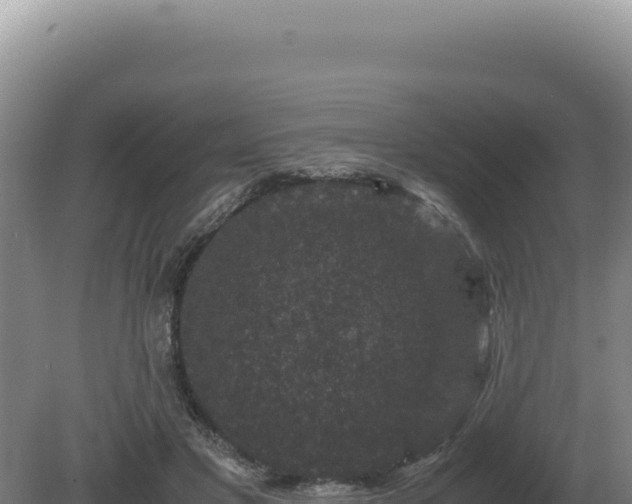 X0000081470501200701191809