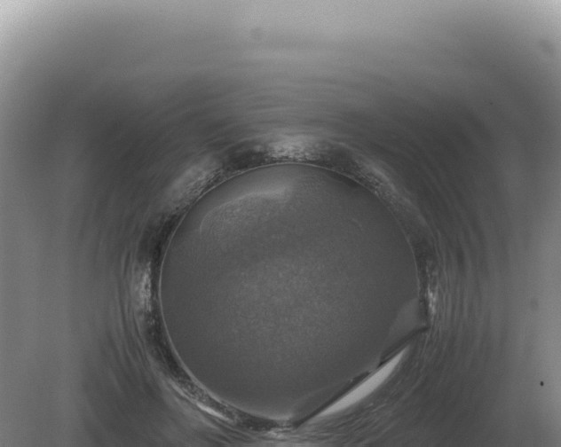 X0000081470502200701191809