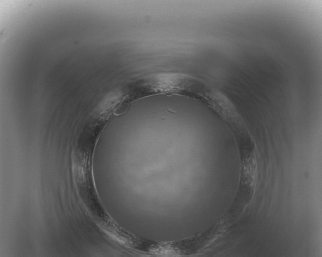 X0000081470503200701191809