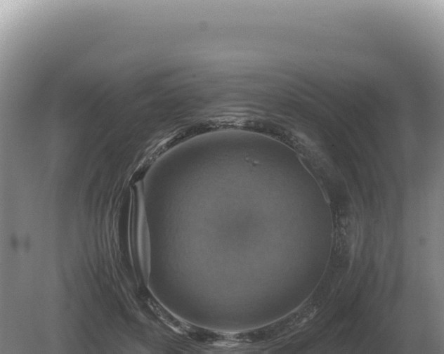 X0000081470504200701191809