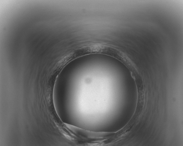 X0000081470505200701191809