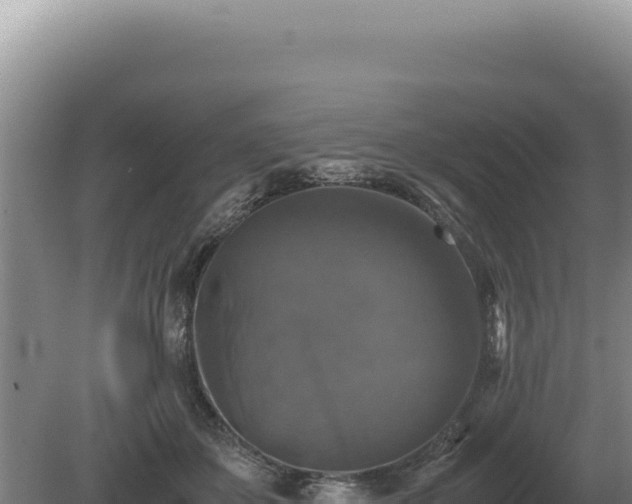 X0000081470507200701191809