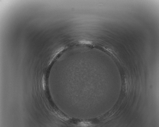 X0000081470508200701191809