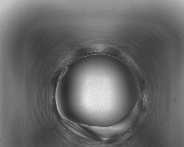 X0000081470509200701191809